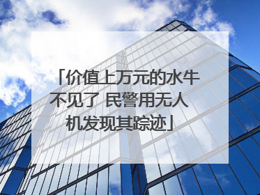 价值上万元的水牛不见了 民警用无人机发现其踪迹