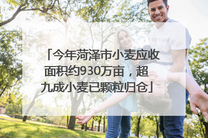 今年菏泽市小麦应收面积约930万亩，超九成小麦已颗粒归仓