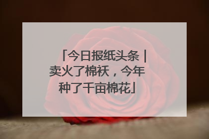 今日报纸头条｜卖火了棉袄，今年种了千亩棉花