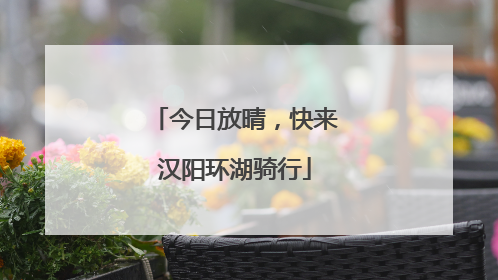今日放晴，快来汉阳环湖骑行