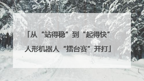 从“站得稳”到“起得快” 人形机器人“擂台赛”开打