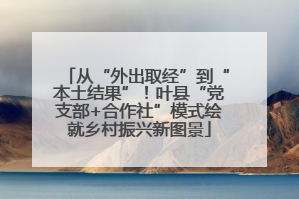从“外出取经”到“本土结果”！叶县“党支部+合作社”模式绘就乡村振兴新图景
