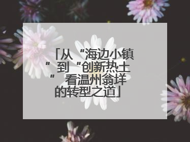 从“海边小镇”到“创新热土” 看温州翁垟的转型之道
