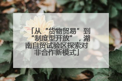 从“货物贸易”到“制度型开放”，湖南自贸试验区探索对非合作新模式