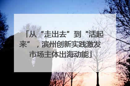 从“走出去”到“活起来”，滨州创新实践激发市场主体出海动能