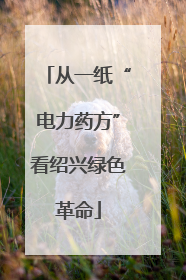 从一纸“电力药方”看绍兴绿色革命
