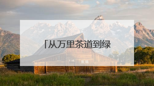 从万里茶道到绿满山乡 安化黑茶的生态致富路