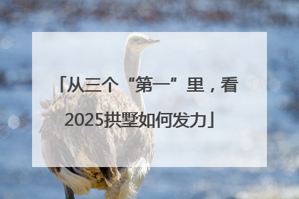 从三个“第一”里，看2025拱墅如何发力