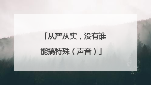 从严从实，没有谁能搞特殊（声音）
