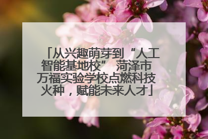 从兴趣萌芽到“人工智能基地校” 菏泽市万福实验学校点燃科技火种，赋能未来人才