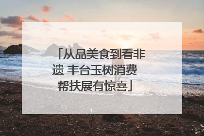 从品美食到看非遗 丰台玉树消费帮扶展有惊喜