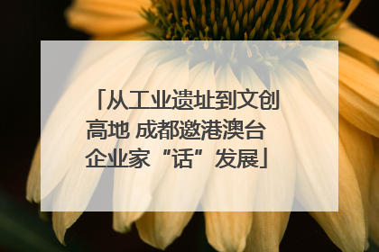从工业遗址到文创高地 成都邀港澳台企业家“话”发展