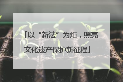 以“新法”为炬，照亮文化遗产保护新征程