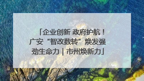 企业创新 政府护航！广安“智改数转”焕发强劲生命力｜市州焕新力