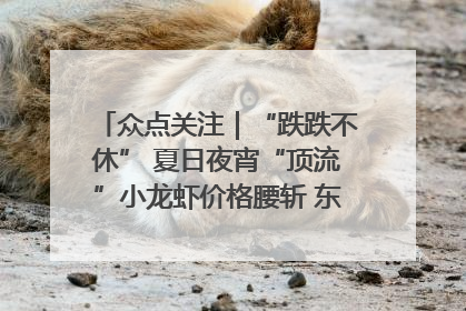 众点关注｜“跌跌不休” 夏日夜宵“顶流”小龙虾价格腰斩 东营人的快乐来了