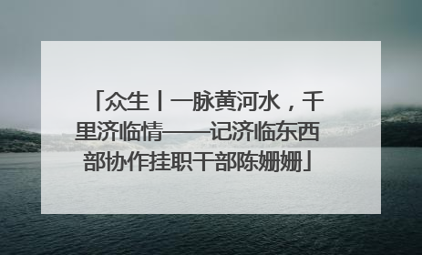 众生丨一脉黄河水，千里济临情——记济临东西部协作挂职干部陈姗姗