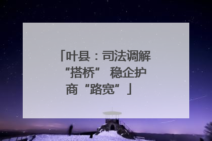 叶县：司法调解“搭桥” 稳企护商“路宽”