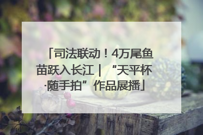 司法联动！4万尾鱼苗跃入长江｜“天平杯·随手拍”作品展播