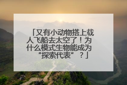 又有小动物搭上载人飞船去太空了！为什么模式生物能成为“探索代表”？