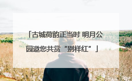 古城荷韵正当时 明月公园邀您共赏“别样红”