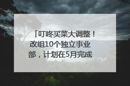 叮咚买菜大调整！改组10个独立事业部，计划在5月完成App端全面改版