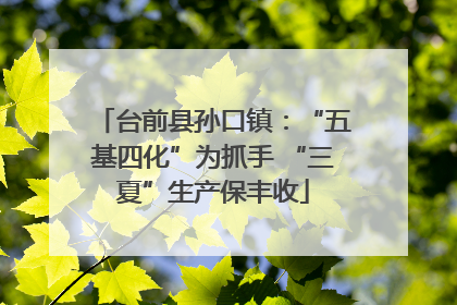 台前县孙口镇：“五基四化”为抓手 “三夏”生产保丰收