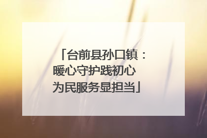 台前县孙口镇：暖心守护践初心 为民服务显担当