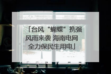 台风“蝴蝶”携强风雨来袭 海南电网全力保民生用电