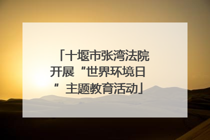 十堰市张湾法院开展“世界环境日”主题教育活动