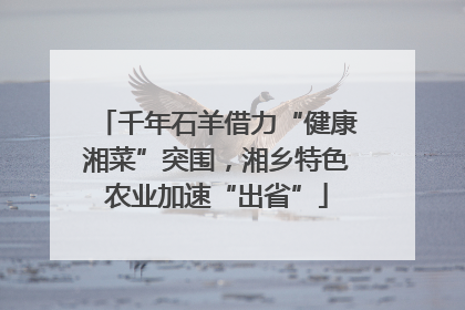 千年石羊借力“健康湘菜”突围，湘乡特色农业加速“出省”