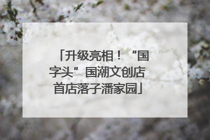 升级亮相！“国字头”国潮文创店首店落子潘家园