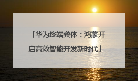 华为终端龚体：鸿蒙开启高效智能开发新时代