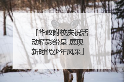 华政附校庆祝活动精彩纷呈 展现新时代少年风采