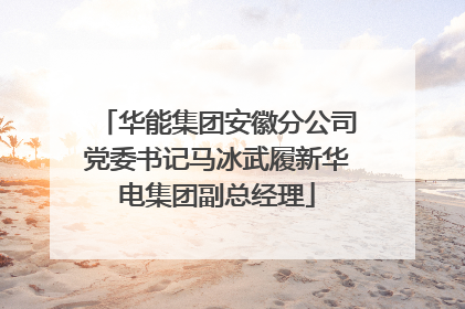 华能集团安徽分公司党委书记马冰武履新华电集团副总经理