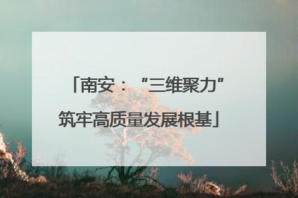 南安：“三维聚力”筑牢高质量发展根基