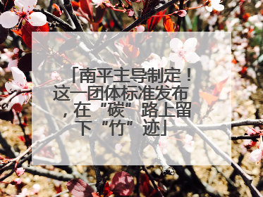 南平主导制定！这一团体标准发布，在“碳”路上留下“竹”迹