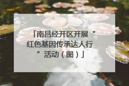 南昌经开区开展“红色基因传承达人行”活动（图）