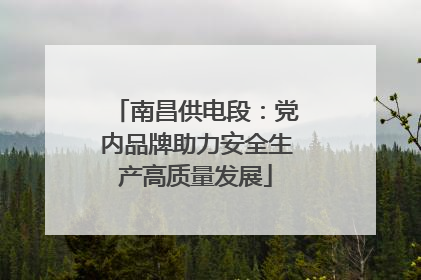南昌供电段：党内品牌助力安全生产高质量发展