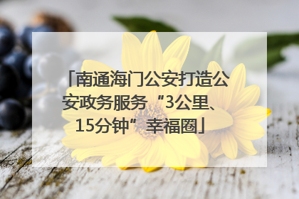 南通海门公安打造公安政务服务“3公里、15分钟”幸福圈