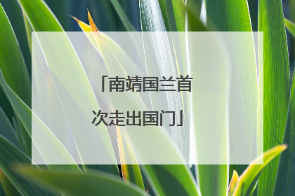 南靖国兰首次走出国门
