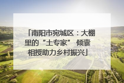 南阳市宛城区：大棚里的“土专家” 倾囊相授助力乡村振兴