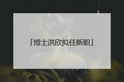 博士洪欣拟任新职