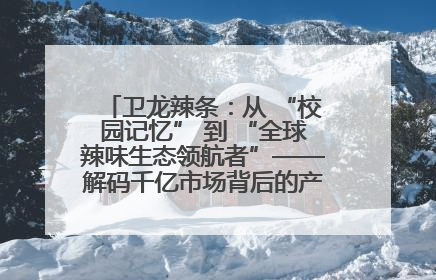 卫龙辣条：从 “校园记忆” 到 “全球辣味生态领航者”——解码千亿市场背后的产品创新与全链路破圈