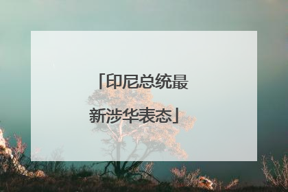 印尼总统最新涉华表态