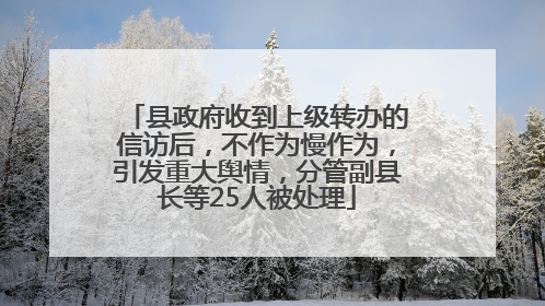 县政府收到上级转办的信访后，不作为慢作为，引发重大舆情，分管副县长等25人被处理