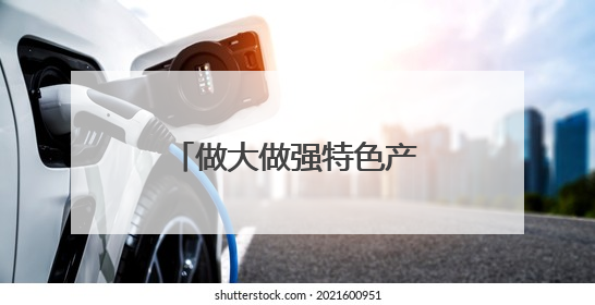 做大做强特色产业 奏响乡村振兴“富民曲”