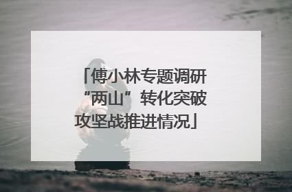 傅小林专题调研“两山”转化突破攻坚战推进情况