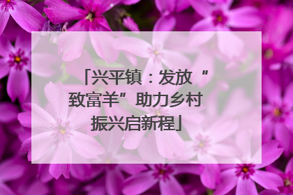 兴平镇：发放“致富羊”助力乡村振兴启新程