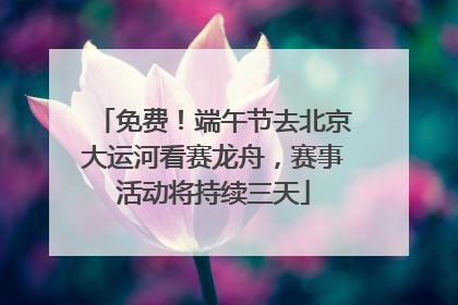 免费！端午节去北京大运河看赛龙舟，赛事活动将持续三天