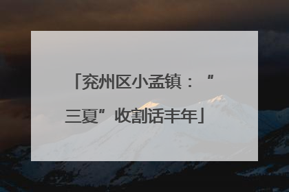 兖州区小孟镇：“三夏”收割话丰年